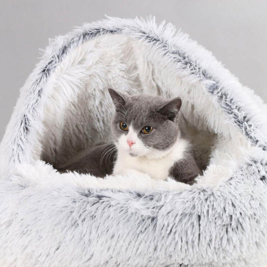 Comfortabel Huisdierbed - Top Beoordeeld en Perfect voor Honden & Katten