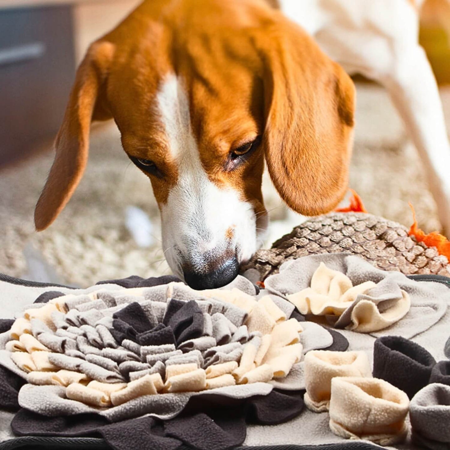 Botvormig Snuffelkleed voor Honden