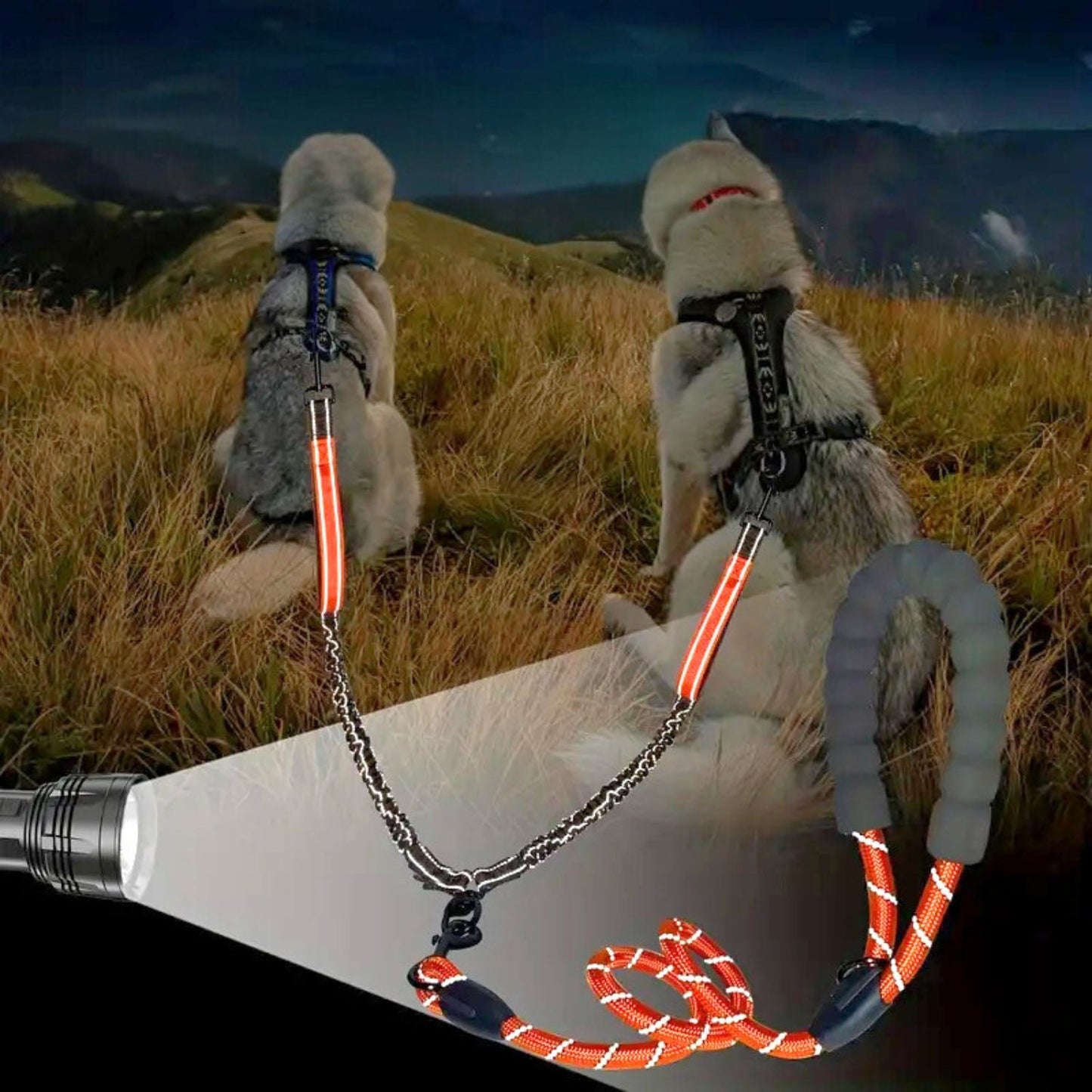 Dubbele Hondenriem | 360° Klitvrije & Reflecterende Veiligheidsontwerp