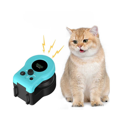 Elektrisch Katten Speelkoord | Actieve Katten Gezond Gewicht