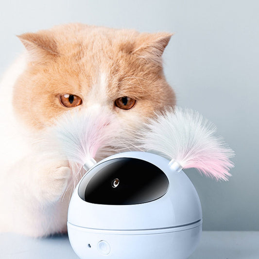 Interactief Laserspeeltje voor Katten | Eindeloos Speelplezier